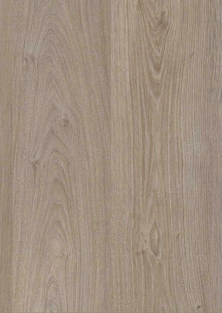 SUEDE SHERWOOD OAK